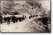 1915'te, Ermeni techiri baladnda, Orta Anadolu'dan gelen demiryolu hatt, Toros dalarnn ortasnda, Pozant'da son buluyordu.