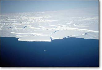 Antartika'nın batısındaki buzullar