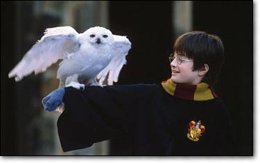 Harry Potter Ve Felsefe Tasi